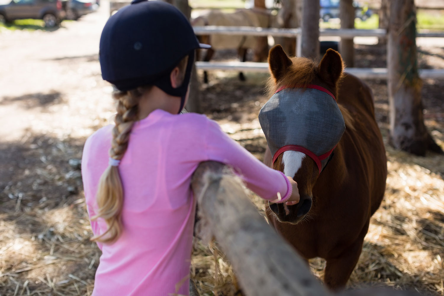 Fly Mask for horses- Eccotemp